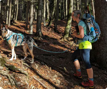 Eine Frau mit Rucksack wandert mit einem Hund an der Leine durch einen lichten Wald.